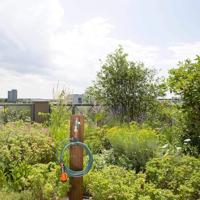 GARDENA 18411-20 Spiraal-tuinslang Grijs, Oranje, Turquoise 7.50 m 1 stuk(s) - thumbnail