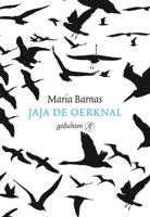 Jaja de oerknal - Maria Barnas - ebook - thumbnail