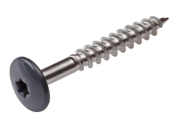 Hoenderdaal Hpl Schroef Rvs-A2 Torx TX20 Antracietgrijs Ral7016 4.8X38 | 100 stuks - 0346.30.37528 - thumbnail