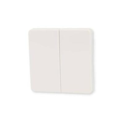 ELSO seriewip 213504 serieschakelaar/dubbele knop rw Meerdere kleuren 1 stuk(s) ELSO seriewip 213504 serieschakelaar/dubbele knop rw Meerdere kleuren 1 stuk(s)