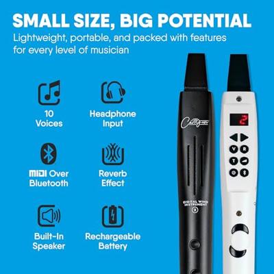 Carry-On Digital Wind Instrument 2 Black digitaal blaasinstrument