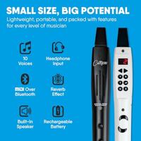 Carry-On Digital Wind Instrument 2 Black digitaal blaasinstrument - thumbnail