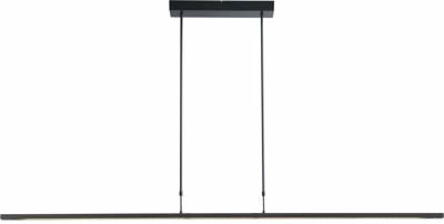 Masterlight Hanglamp Real 2 LED 160 cm zwart nikkel