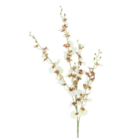 Oncidium orchid spray cream 93 cm kunstbloem Erutan Avon - Erutan avon - thumbnail