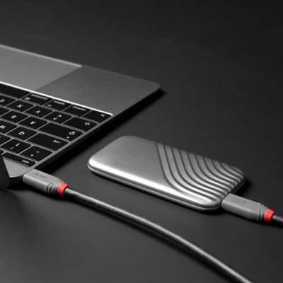 Lindy 36958 USB4 Gen 3x2 40Gbps 240W USB Type-C 2m Lindy 36958 USB4 Gen 3x2 40Gbps 240W USB Type-C 2m