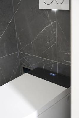 Saqu Elite douche-wc met softclose toiletzitting wit