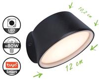 Lutec Dakota LED Wandlamp TUYA Connected - thumbnail