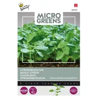 Zaden Microgreens Citroenbasilicum Buzzy - Buzzy - thumbnail