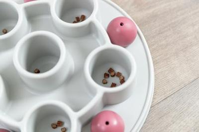 Strategiespel voor katten - TRIXIE - Pentagon - ø 28 cm - thumbnail