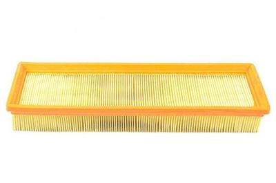 Luchtfilter BSG70135004