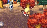 Animal Crossing: New Leaf - thumbnail