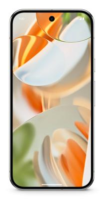 Google Pixel 9 Pro XL - 128 GB - Porcelain