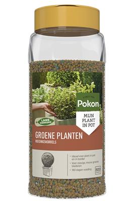 Pokon voedingskorrels groene planten 800 gram