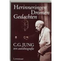 Herinneringen dromen gedachten (Paperback) - thumbnail