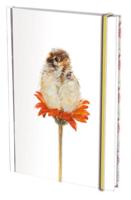 Notitieboek A5, harde kaft: Hallo kleintje, Angelique Weijers - thumbnail