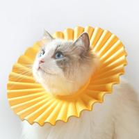 Aino Zachte beschermkraag voor kat - Oranje - Maat M - thumbnail