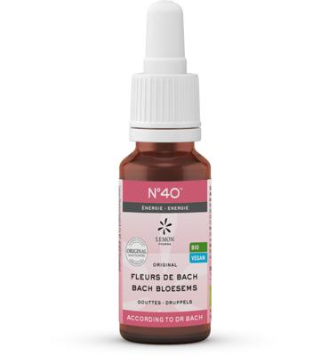Bach Bloesem Bach bloesems mengeling 40 energie bio 20 Milliliter