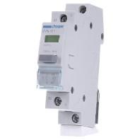 Toets Groen 16 A 230 V Hager SVN411