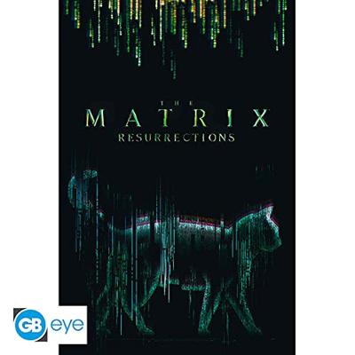 Poster The Matrix - Cat 61x91,5cm Poster The Matrix - Cat 61x91,5cm