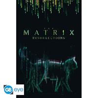 Poster The Matrix - Cat 61x91,5cm - thumbnail