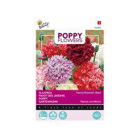 Papaver poppies of the world p 1g - thumbnail