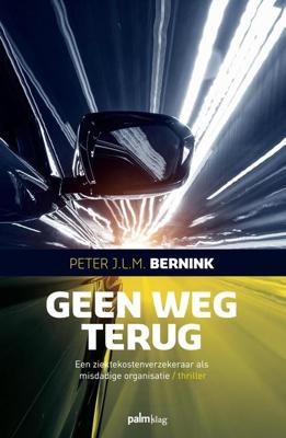 Geen weg terug - Peter J.L.M. Bernink - ebook