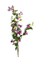 Bougainvillea l130cm paars kunstbloem Louis Maes - Louis maes - thumbnail