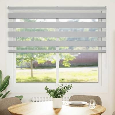VidaXL Zebra rolgordijn 160x150 cm stofbreedte 155,9 cm lichtgrijs VidaXL Zebra rolgordijn 160x150 cm stofbreedte 155,9 cm lichtgrijs