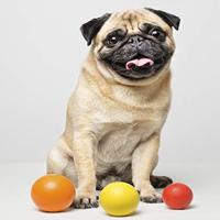 Hondenspeelgoed Gloria Rubber (8 cm) - thumbnail