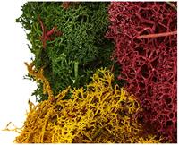 NOCH 8620 Mos Herfstmengsel - thumbnail