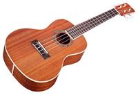 Cordoba 15CM - thumbnail