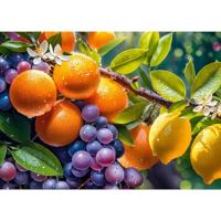 Sunny Fruits Puzzel 1000 Stukjes - thumbnail
