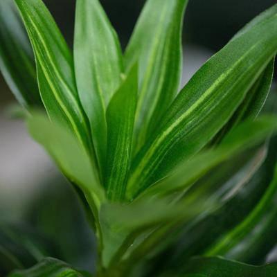 Draceana Reflexa Kunstplant groen 120cm RT