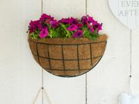 Hanging basket metaaldraad groen geepoxeerd Nature - Nature - thumbnail