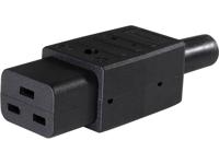 AS Schwabe 62085 Apparaatstekker (koud) Stekker, recht Totaal aantal polen: 2 10 A Zwart 1 stuk(s) - thumbnail