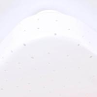 Brilliant PlafondlampFarica Starry 28cm - 4000K met sterrenfunctie - G99773A75 - thumbnail