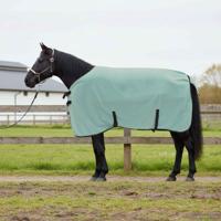 VidaXL Paardendeken speciale groen polyester - thumbnail