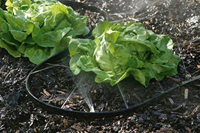 Meister Druppelslang M.A. 15M W - WU9927210