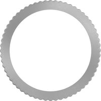 Bosch Accessoires Reduceerring voor cirkelzaagbladen 20 x 15,875 x 0,8 mm 1st - 2600100186 - thumbnail