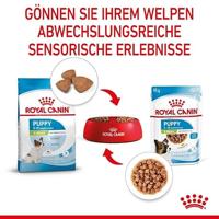 ROYAL CANIN X-Small Puppy | Dubbelpak | 2 x 12 x 85 g | Natte voeding voor bijzonder kleine hondenpuppy's | Tot 10 maanden | Met hapjes in saus | In pouchzak - thumbnail