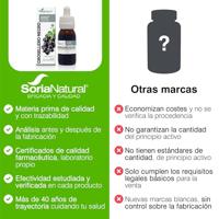 Soria Natural Ribes Nigrum XXI Extract - thumbnail