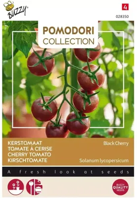 Zaden Pomodori Black Cherry Buzzy - Buzzy Zaden Pomodori Black Cherry Buzzy - Buzzy