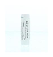 Hepar sulphur D12 - thumbnail