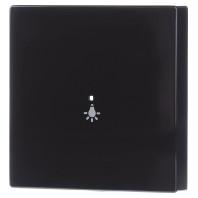 Busch-Jaeger 2CKA006220A0035 Wipschakelaar licht Afdekking 1-voudig free@home Antraciet, Zwart-grijs 1 stuk(s)