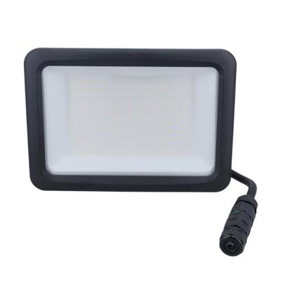 AS Schwabe Optiline 46662 LED-buitenschijnwerper Energielabel: E (A - G) LED 100 W Zwart