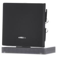 Merten 431014 Wisselschakelaar Afdekking System M Antraciet 1 stuk(s) - thumbnail