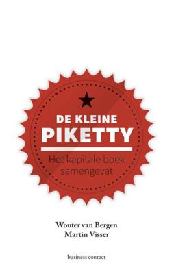 De kleine Piketty - Wouter van Bergen, Martin Visser - ebook