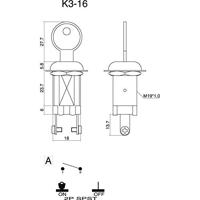 TRU COMPONENTS 1587792 TC-K3-16A2-06 Sleutelschakelaar 12 V/DC, 24 V/DC 10 A 1x uit/aan 1 x 90 ° 1 stuk(s) - thumbnail