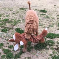 Happy Pet unstuffed pluche konijn - thumbnail