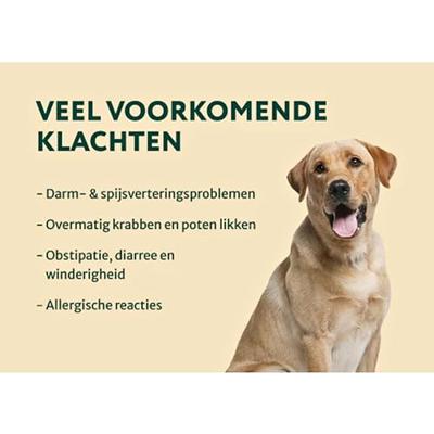 Dogsuppy Probiotica Forte Poeder